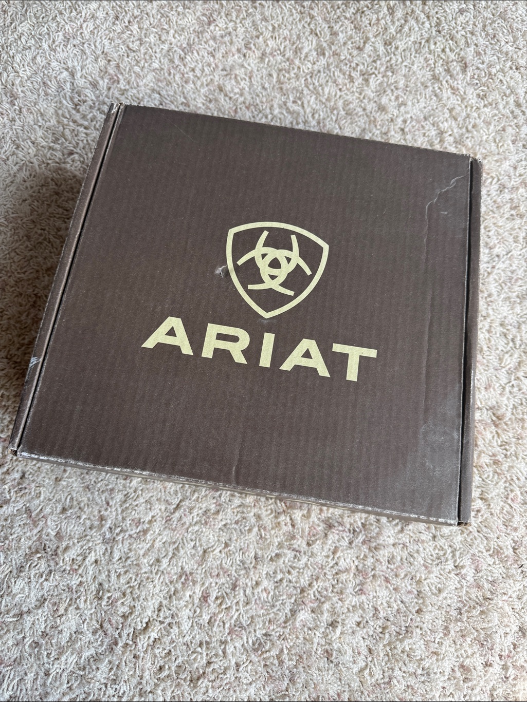 Ariat Dark Brown Box With Gold Logo